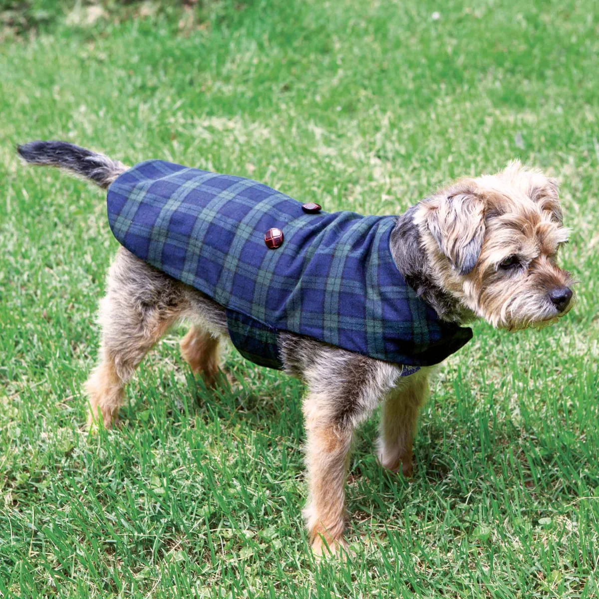 Dog Blackwatch Tartan Grandfather Shirt - Image 5 | Lily's Pad Studio