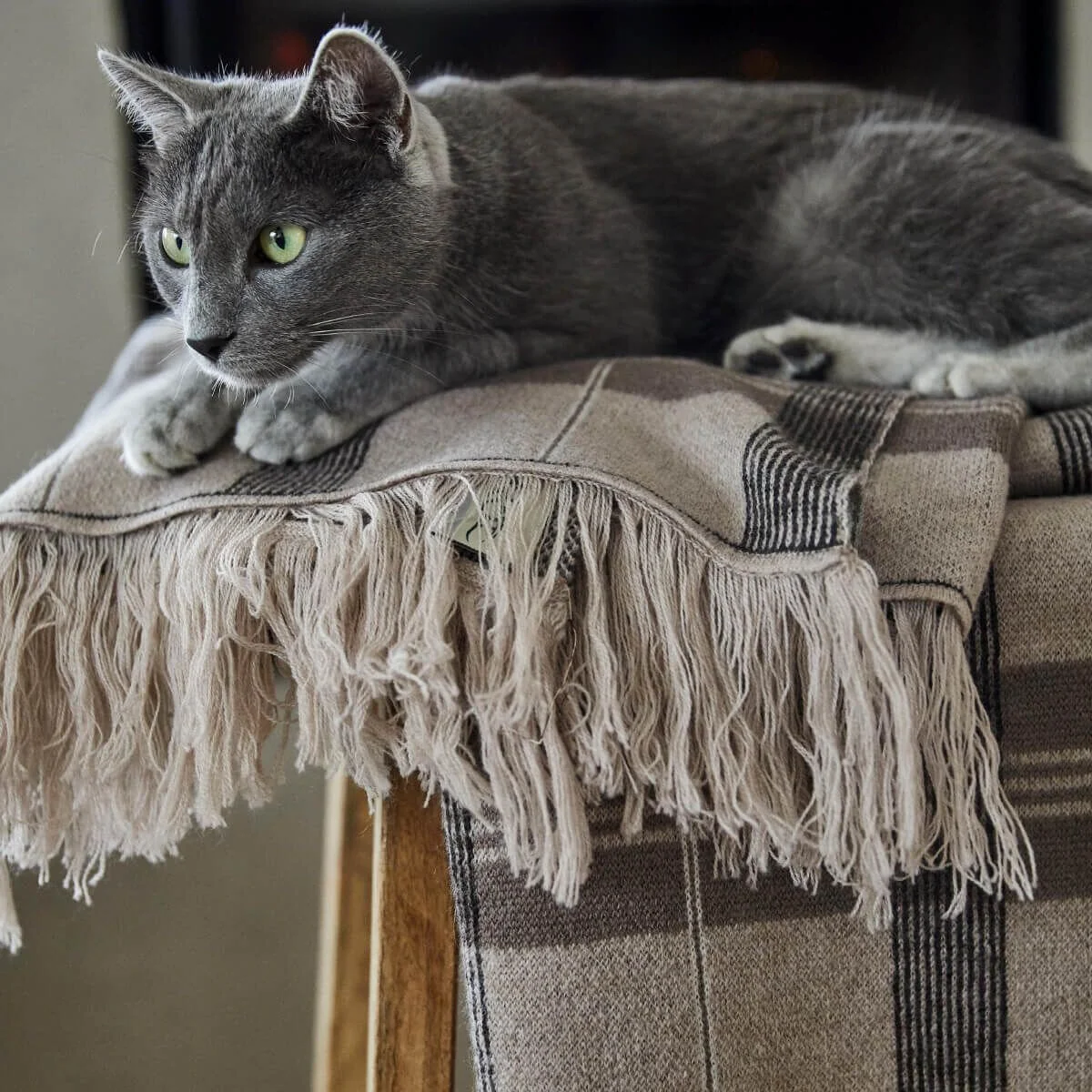 Pure New Irish Merino Wool Throw Blanket – Made in Ireland - Image 16 | Lily's Pad Studio